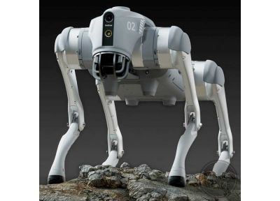 Unitree GO2 Robot Dog - Alle Modelle auf einen Blick!