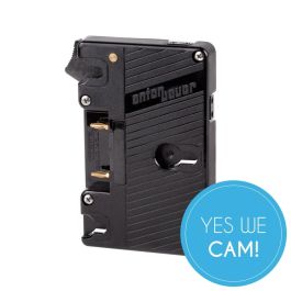 Wooden Camera Gold Mount - Dual D-Tap