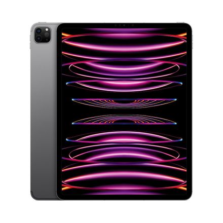 Apple iPad Pro 12.9 Wi-Fi spacegrau - 6. Gen.