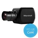 Marshall Electronics CV380-CS Compact UHD Camera IBC 2018