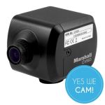 Marshall CV503 HD Mini Kamera Line-Level-Funktion