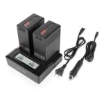 SHAPE BP-U65 Lithium-Ion two Batteries With Dual LCD Charger günstig kaufen