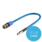 Sommer Cable 50cm MicroBNC/BNC 12G (Video Assist 5" HDR) cable