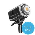 Walimex Pro LED2Go 60 Daylight Foto Video Leuchte Licht