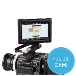 Wooden Camera RED Male Pogo to Male LCD/EVF Cable (12"