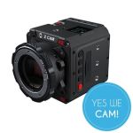 Z-CAM E2-F8 Kamera (EF Mount) L-Serie-Akkuhalterung
