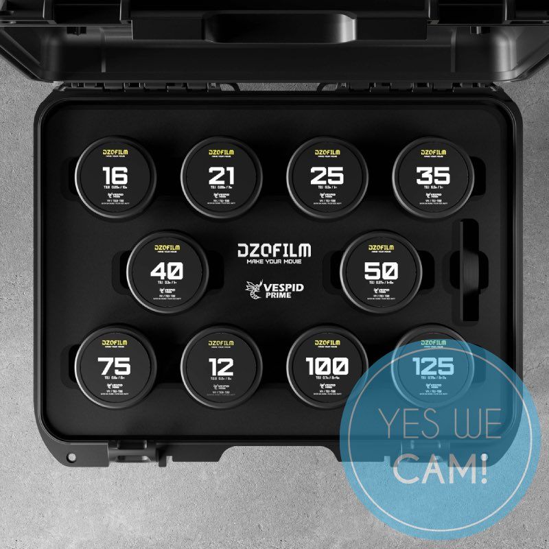 DZOFILM Vespid Prime 10-Lens Kit kaufen